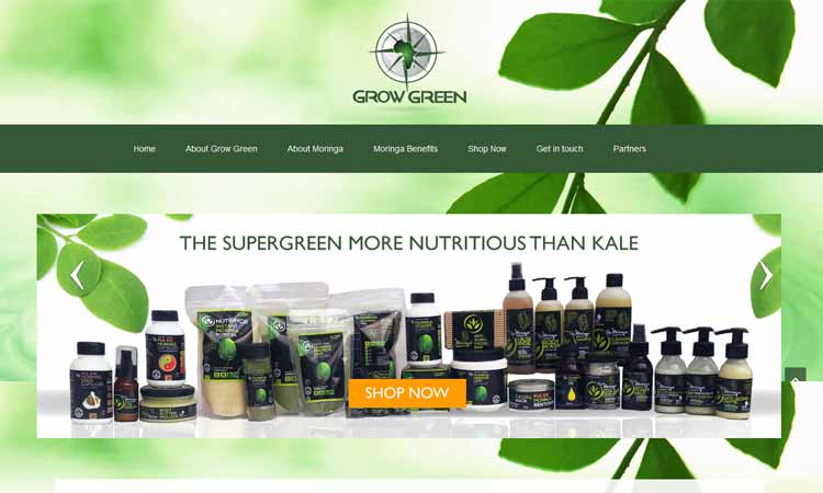 Mobile Friendly website design packages - Ifalethu